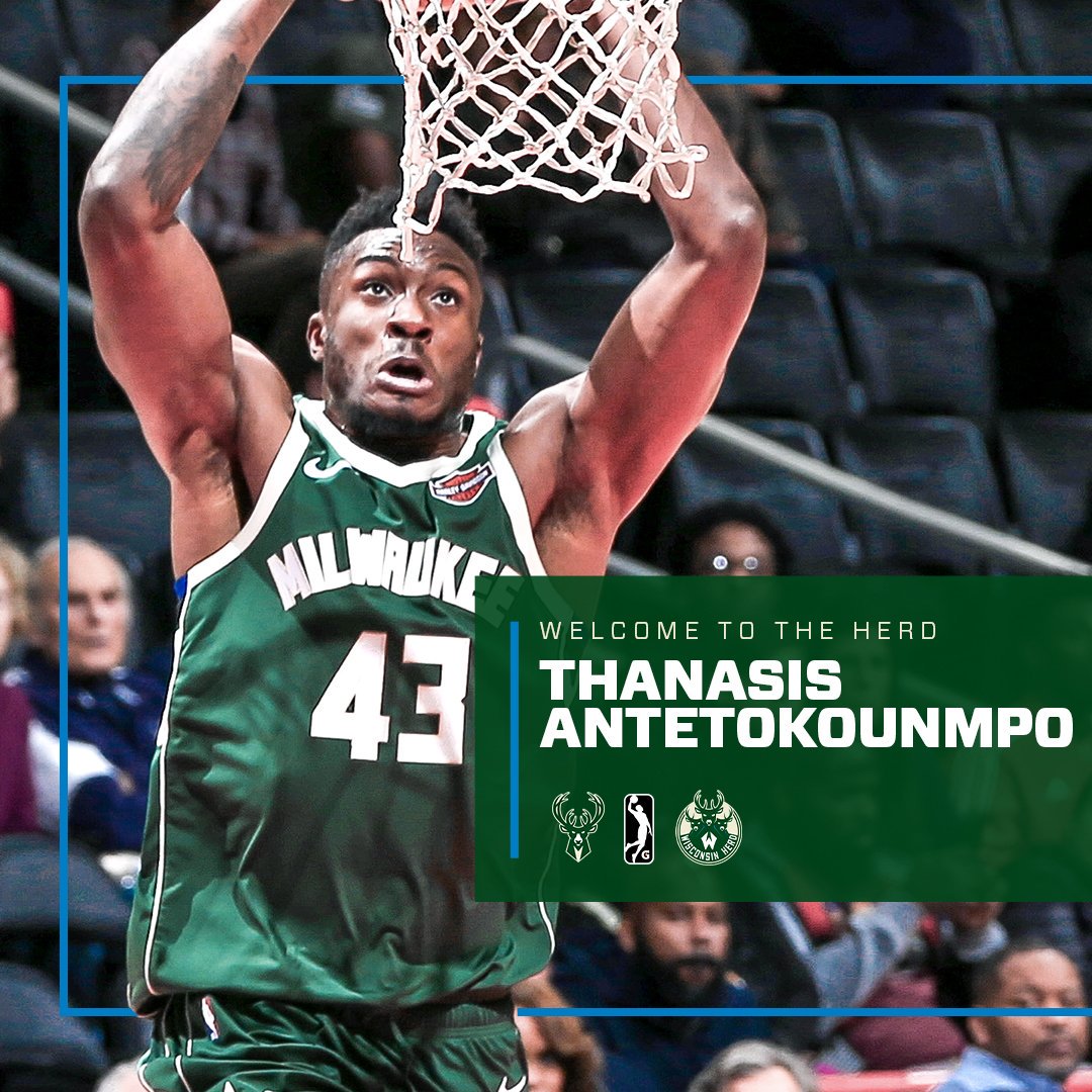 这一惊人的 这一惊人的